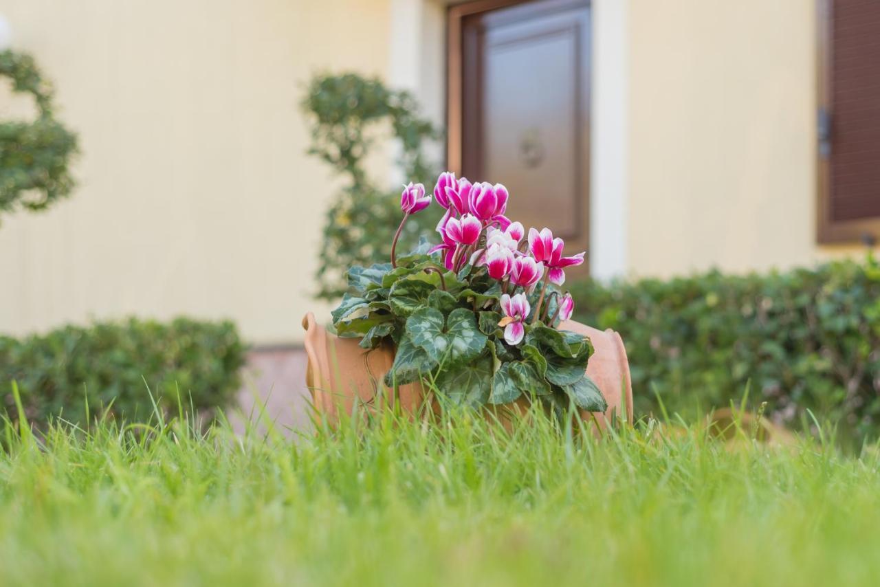 B&B Boutique Di Charme "Etna-Relax-Natura" Zafferana Etnea Exterior foto